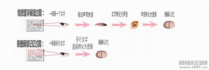 傳統閱讀與快速閱讀的區別 快速閱讀與傳統閱讀的區別 快速閱讀訓練軟件的效果