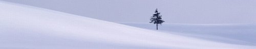 集中精力,記憶倍增。 —— 精英特速讀記憶訓(xùn)練網(wǎng)